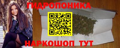 PSILOCYBIN Бугуруслан