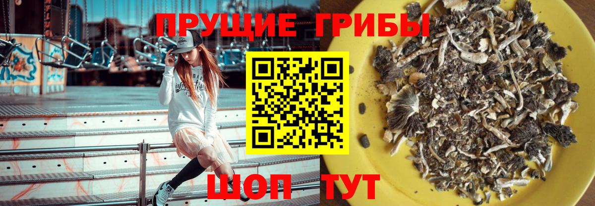Галлюциногенные грибы Cubensis  Псилоцибиновые грибы GOLDEN TEACHER  Обнинск  сколько стоит  Вход с VPN 