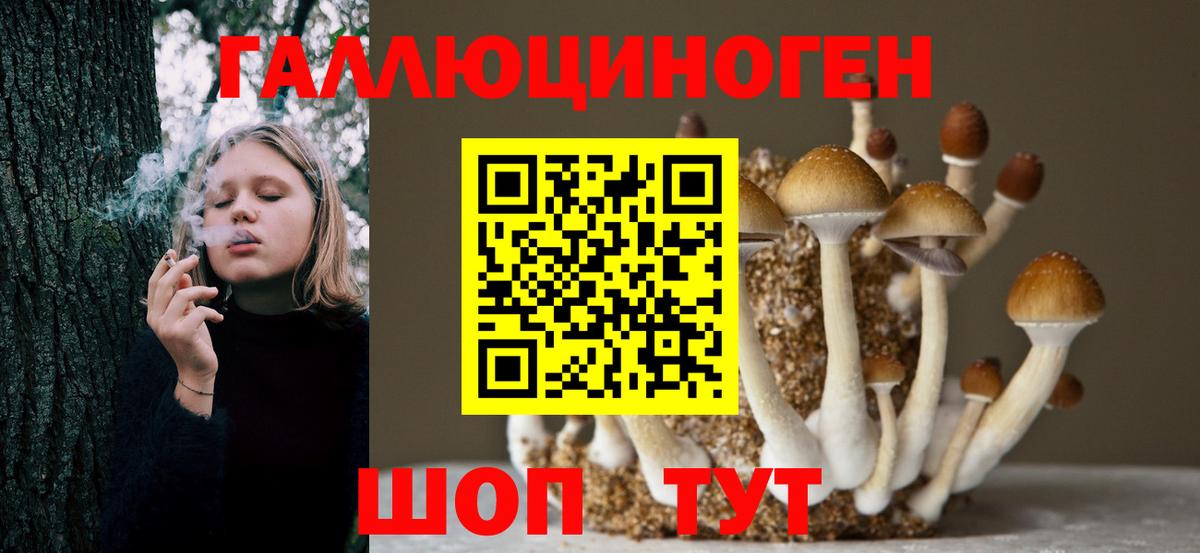 Галлюциногенные грибы GOLDEN TEACHER Обнинск